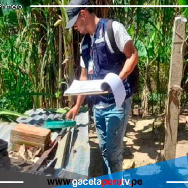 Dengue: se requiere trabajo multisectorial en regiones para combatir enfermedad 