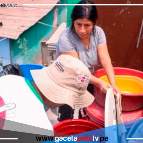 Minsa inspecciona más de 60,000 viviendas en Lima Cercado y San Juan de Lurigancho 