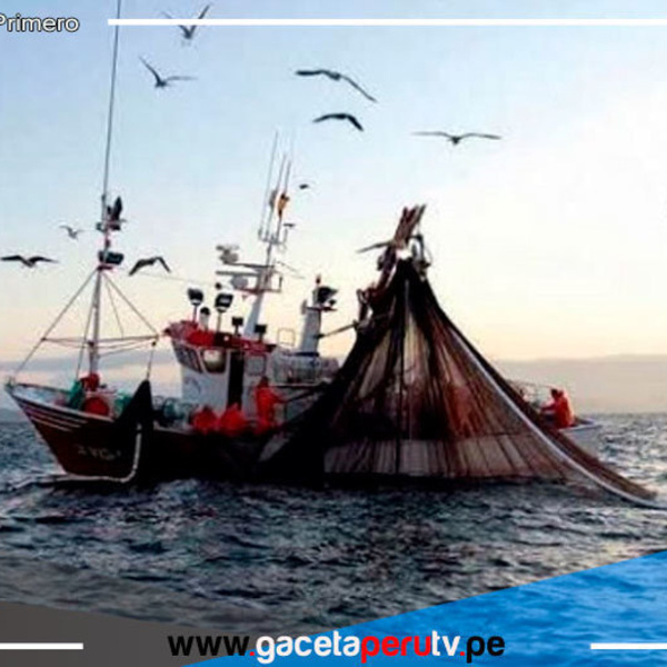 Aprueban normas para reducción de pago de multas en pesca y acuicultura 