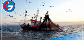 Aprueban normas para reducción de pago de multas en pesca y acuicultura 