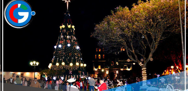 Cajamarca: árbol y nacimiento andino se lucen en la plaza de Armas 