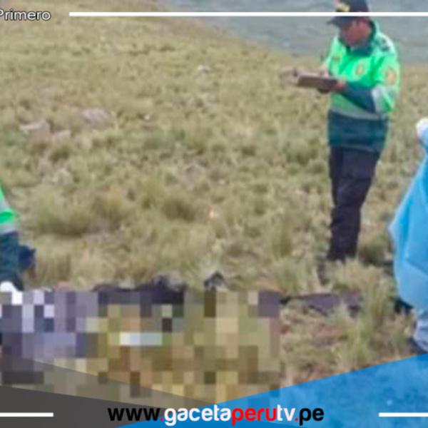 Cusco: Pastor de ovejas pierde la vida por impacto de un rayo