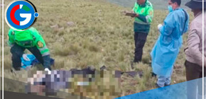 Cusco: Pastor de ovejas pierde la vida por impacto de un rayo