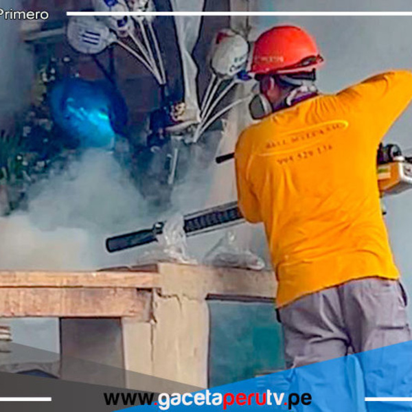 Alcalde Ulises Villegas Encabeza Acciones para Erradicar Mosquito Transmisor del Dengue en Comas