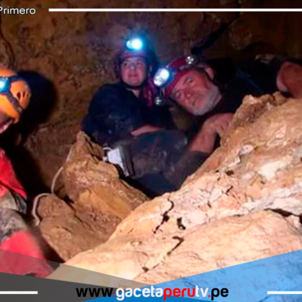 Rumania: 33 especies extrañas son encontradas en cueva sellada por 5 Millones de años