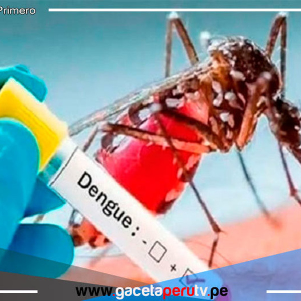 Ampliarán declaratoria de emergencia sanitaria a 20 regiones del país por dengue