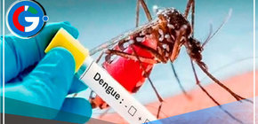 Ampliarán declaratoria de emergencia sanitaria a 20 regiones del país por dengue