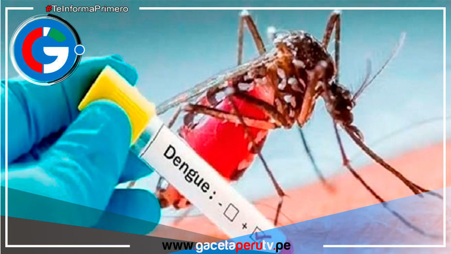 Ampliarán declaratoria de emergencia sanitaria a 20 regiones del país por dengue