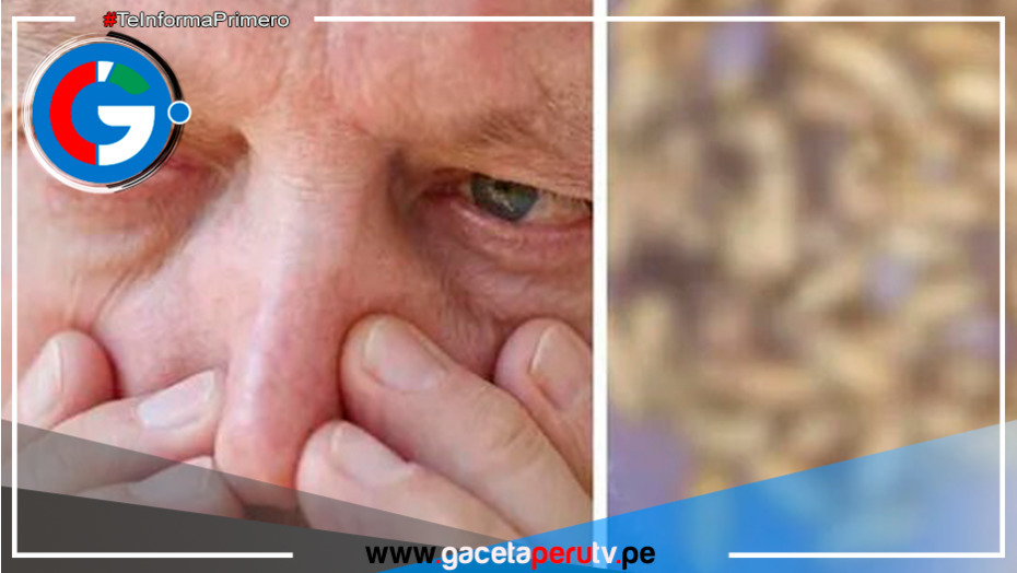 Hombre descubre 150 bichos vivos en su nariz durante una consulta médica