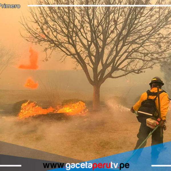 E.E.U.U.: Al menos un muerto y casi medio millón de hectáreas devastadas por incendios 