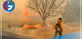 E.E.U.U.: Al menos un muerto y casi medio millón de hectáreas devastadas por incendios 