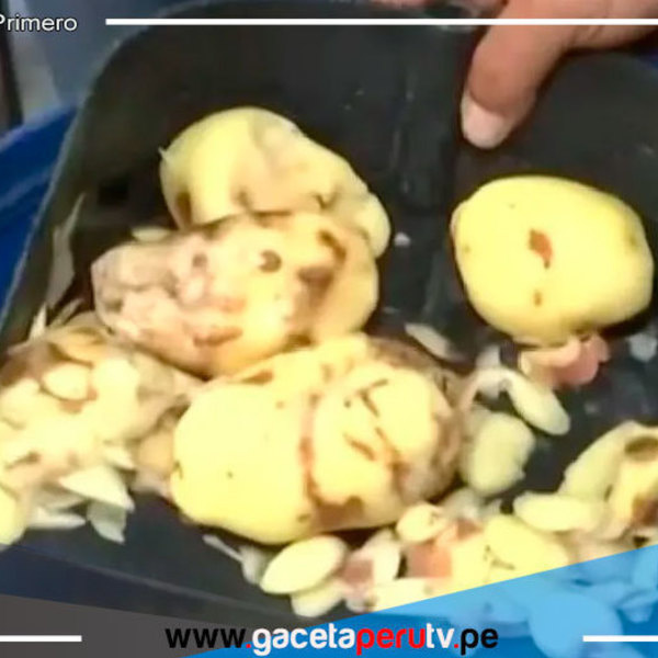 Detienen a Tres Personas en Taller Insalubre de Papas Fritas para Cadena Campollo