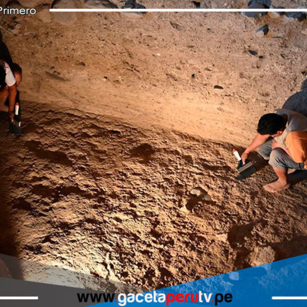 Científicos de Francia confirma que los orígenes del cacao están en la Amazonía Peruana