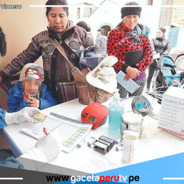 Anemia infantil afecta a 15 regiones del país en un año