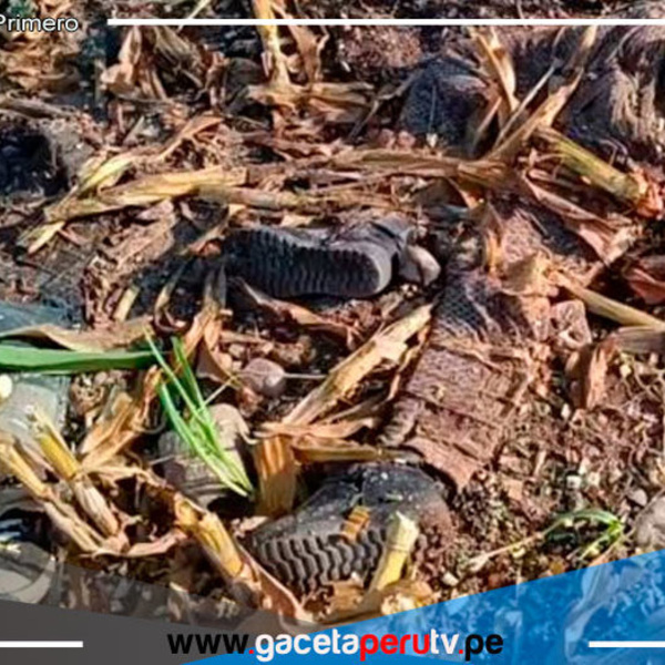 Hallan restos óseos de madre e hija entre maíz triturado