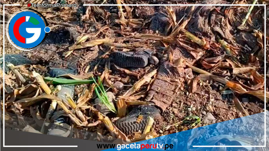 Hallan restos óseos de madre e hija entre maíz triturado