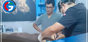 ¡Justicia para Luna! Policía captura a sujeto acusado de violar y asesinar a una perrita