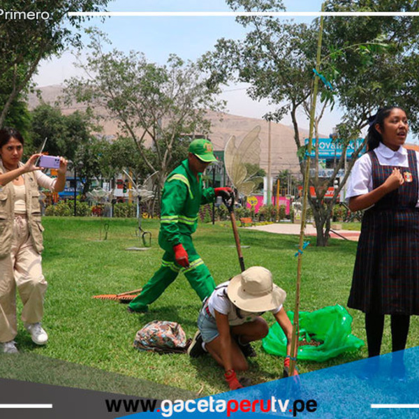 Rompen récord al sembrar 3 mil árboles en Chorrillos 