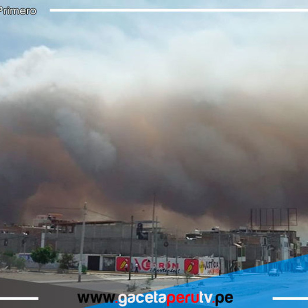 Áncash: incendio forestal afectó humedales de Villa María