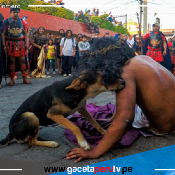 Un acto de fe y un gesto de amor: Un perrito consuela a actor que interpretaba a 'Jesús'