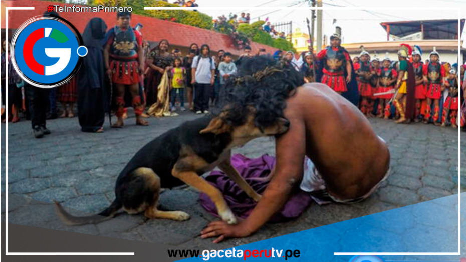 Un acto de fe y un gesto de amor: Un perrito consuela a actor que interpretaba a 'Jesús'