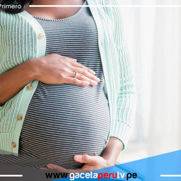 Ministerio de Salud intensifica cuidados ante proliferación del zancudo Aedes aegypti en mujeres embarazadas