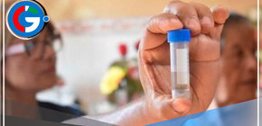 Inspeccionan 11,000 viviendas con control larvario en Villa María del Triunfo 