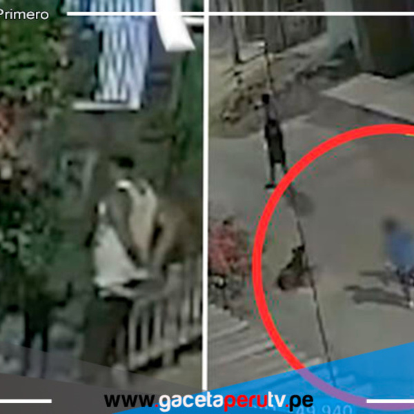 ¡No más crueldad! Hombre acuchilla a perrito por morder a su nieto en Villa el Salvador 