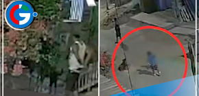 ¡No más crueldad! Hombre acuchilla a perrito por morder a su nieto en Villa el Salvador 