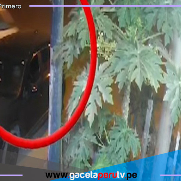 Conductor de combi huye tras atropellar a niño de 5 años en Lurín