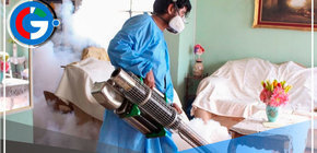 Perú presenta una desaceleración en los nuevos casos de dengue 