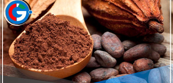 Ikam Kuitamat: Impulso al Cacao Sostenible en Amazonas