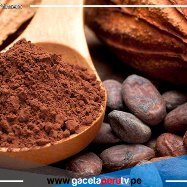 Ikam Kuitamat: Impulso al Cacao Sostenible en Amazonas