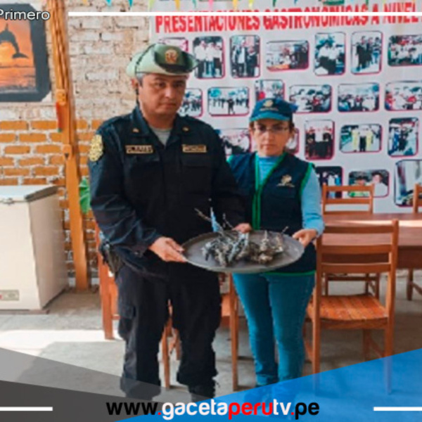 Condenan a dueño de restaurante en la Libertad por vender carne de canán, especie protegida del Perú