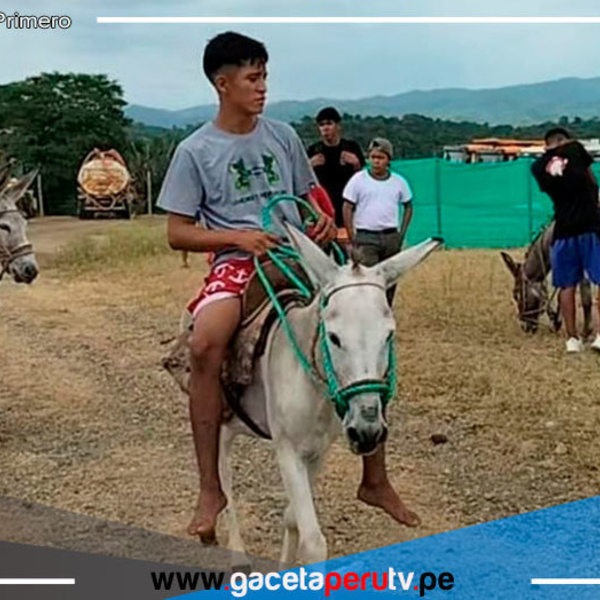 Tumbes: pobladores rescatan tradicional carrera de piajenos