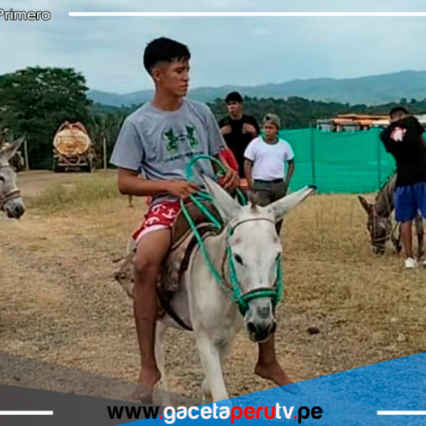 Regresa la feria burrera en Rica Playa en Tumbes