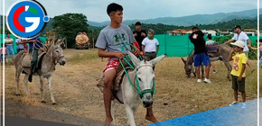 Regresa la feria burrera en Rica Playa en Tumbes