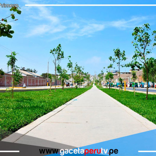 Villa El Salvador: entregan nuevas pistas y veredas