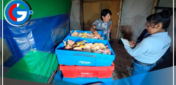 Autoridades municipales de Comas cierran más de 5 establecimientos por falta de documentación