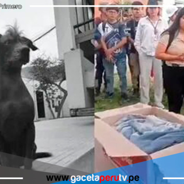 Estudiantes de la UNI exigen justicia por la muerte del perro peruano Dante
