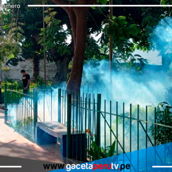 Más de 1,000 Casos de Dengue Registrados en Cajamarca