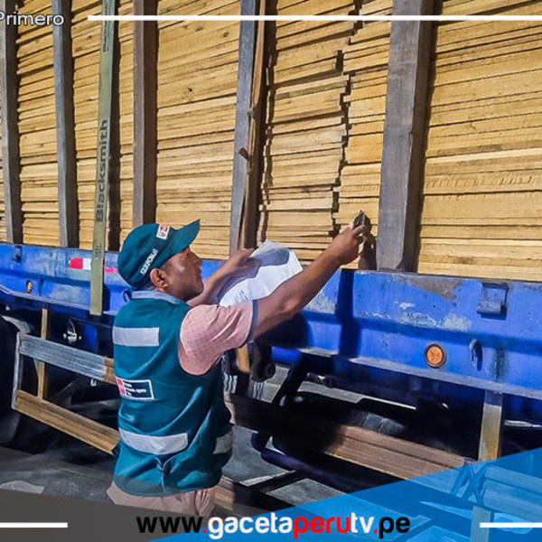 Autoridades intervienen cargamento de madera ilegal en Pucusana