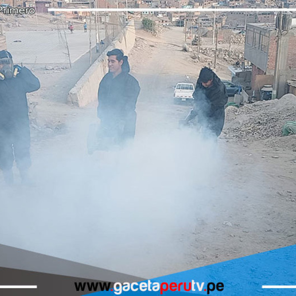 Municipalidad de Comas refuerza fumigación ante aumento de casos de dengue