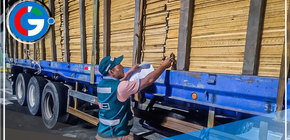 Autoridades intervienen cargamento de madera ilegal en Pucusana