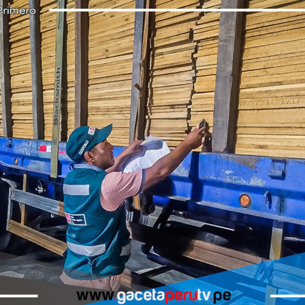 Autoridades intervienen cargamento de madera ilegal en Pucusana