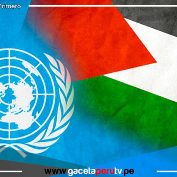 Palestina busca el reconocimiento total en la ONU