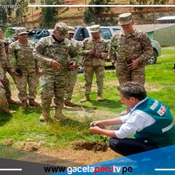 Huancavelica instala 5,000 plantones por campaña Plantando Futuro Juntos 