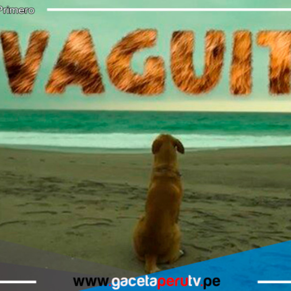 El éxito inesperado de "Vaguito" en los cines peruanos