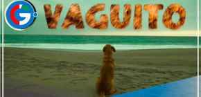 El éxito inesperado de "Vaguito" en los cines peruanos