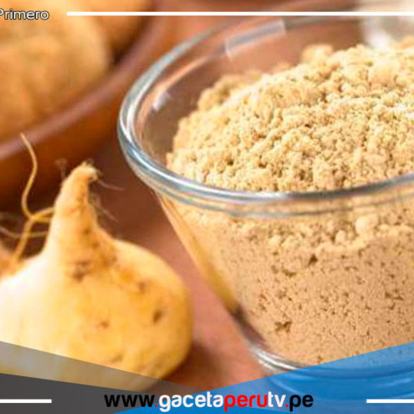 Científicos peruanos estudian efectos neuroprotectores de la maca 